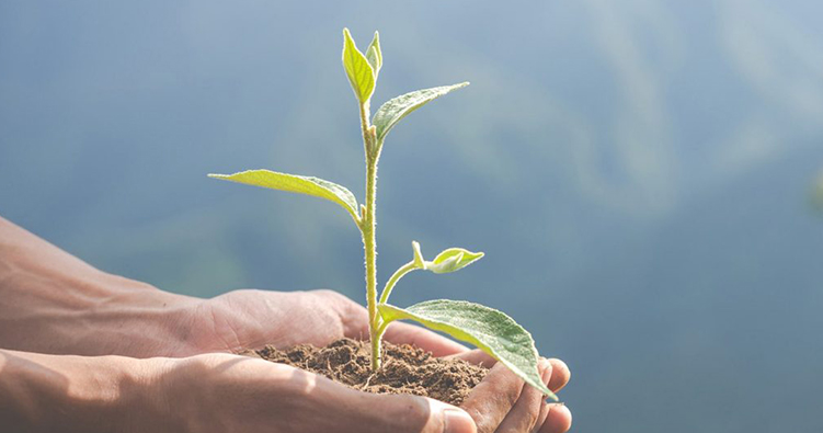 Responsabilidad Ambiental